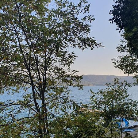 Le Comptoir Hotel Sainte-Croix-de-Verdon Bagian luar foto